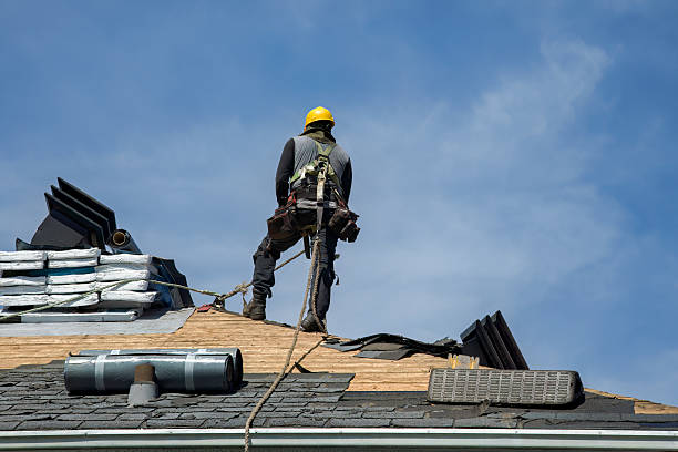 Professional Gutter Installation technician working in Elkins, WV
